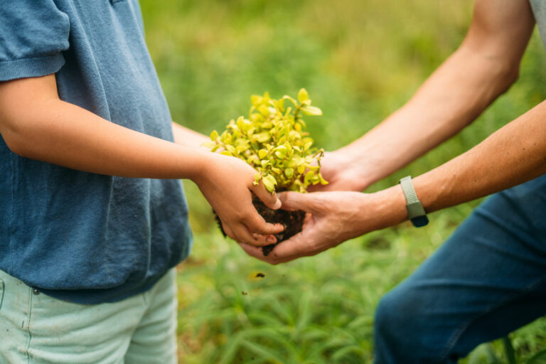 Boy and father planting a tree